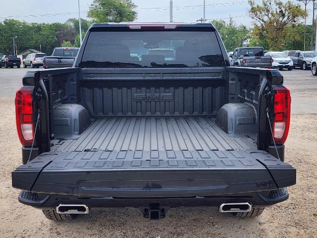 2024 GMC Sierra 1500 Vehicle Photo in PARIS, TX 75460-2116