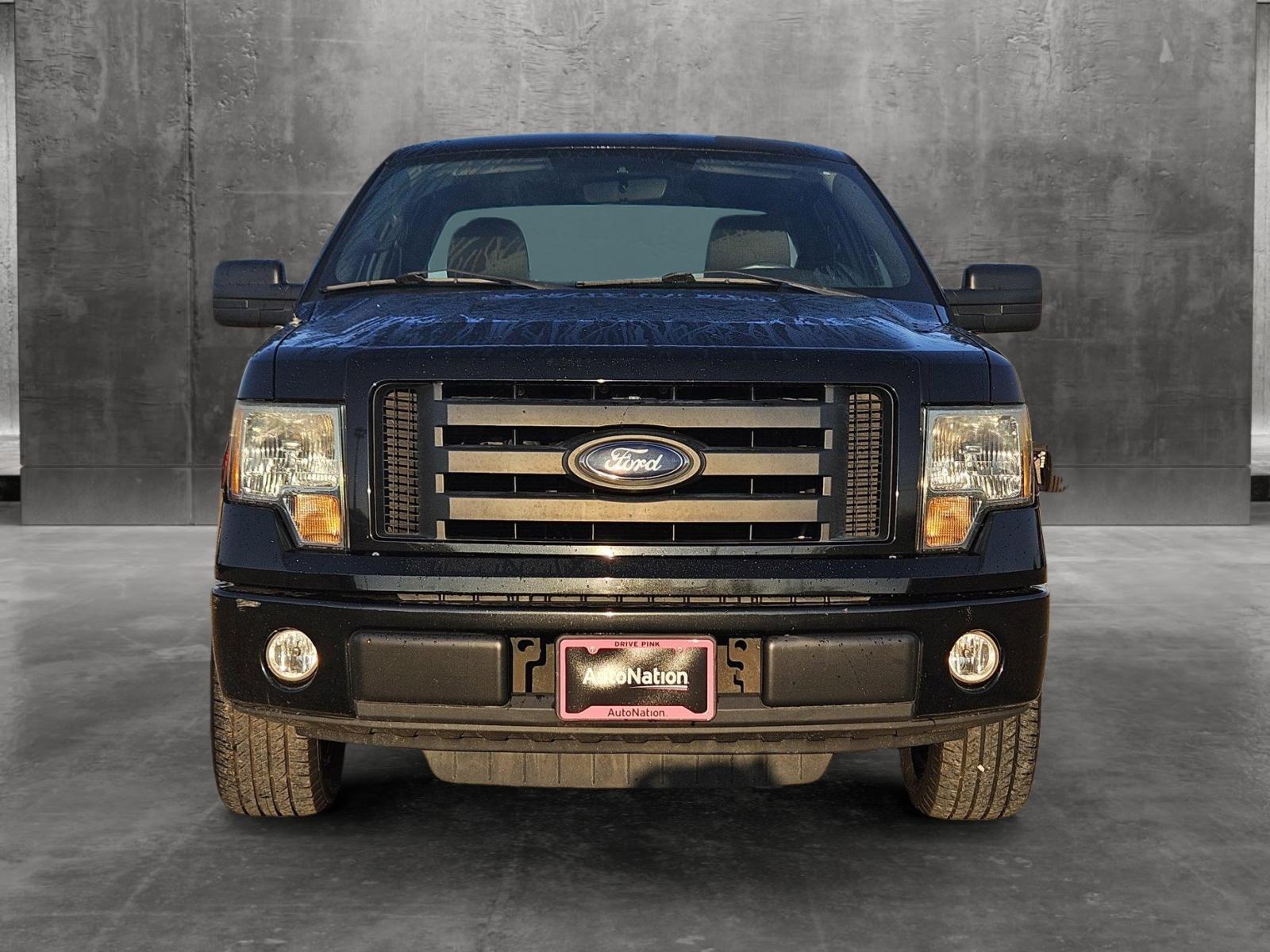 2010 Ford F-150 Vehicle Photo in WACO, TX 76710-2592