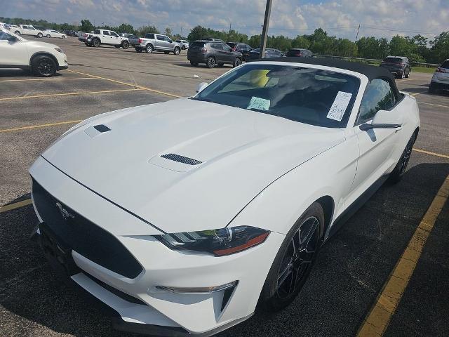 2022 Ford Mustang Vehicle Photo in Grapevine, TX 76051