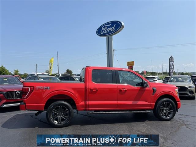 2021 Ford F-150 Vehicle Photo in Danville, KY 40422-2805