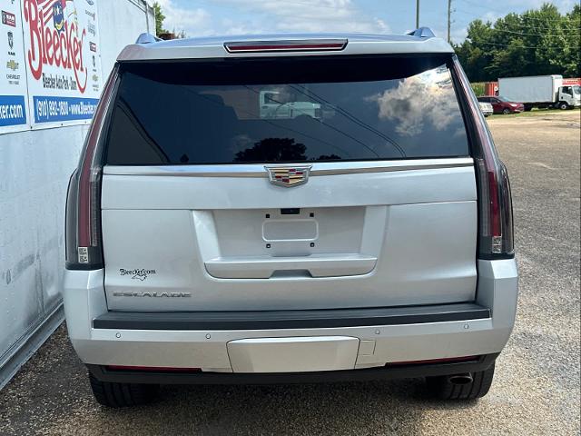 2019 Cadillac Escalade Vehicle Photo in DUNN, NC 28334-8900