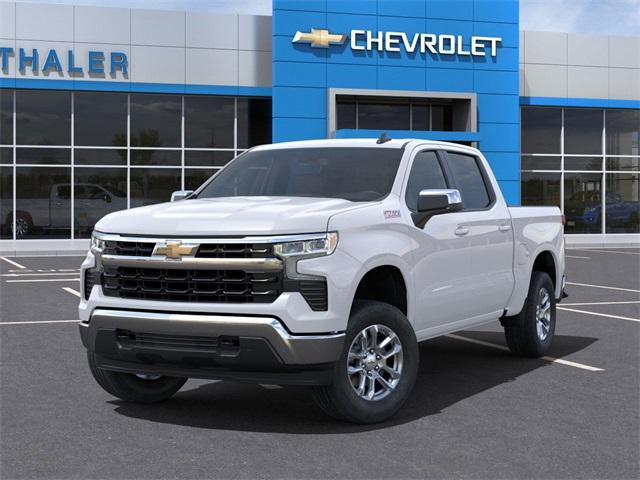 2024 Chevrolet Silverado 1500 Vehicle Photo in GLENWOOD, MN 56334-1123