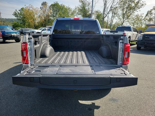 2021 Ford F-150 Vehicle Photo in Boyertown, PA 19512