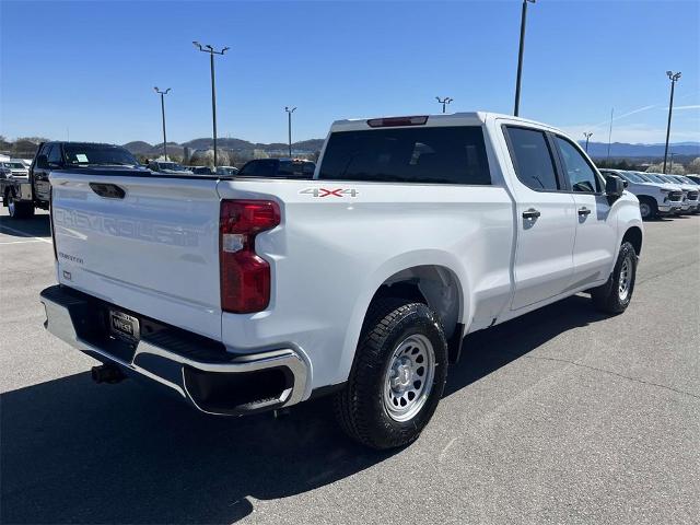 2024 Chevrolet Silverado 1500 Vehicle Photo in ALCOA, TN 37701-3235