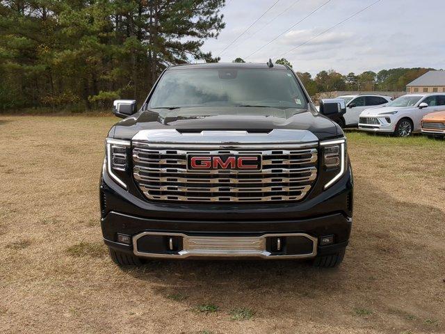 2025 GMC Sierra 1500 Vehicle Photo in ALBERTVILLE, AL 35950-0246