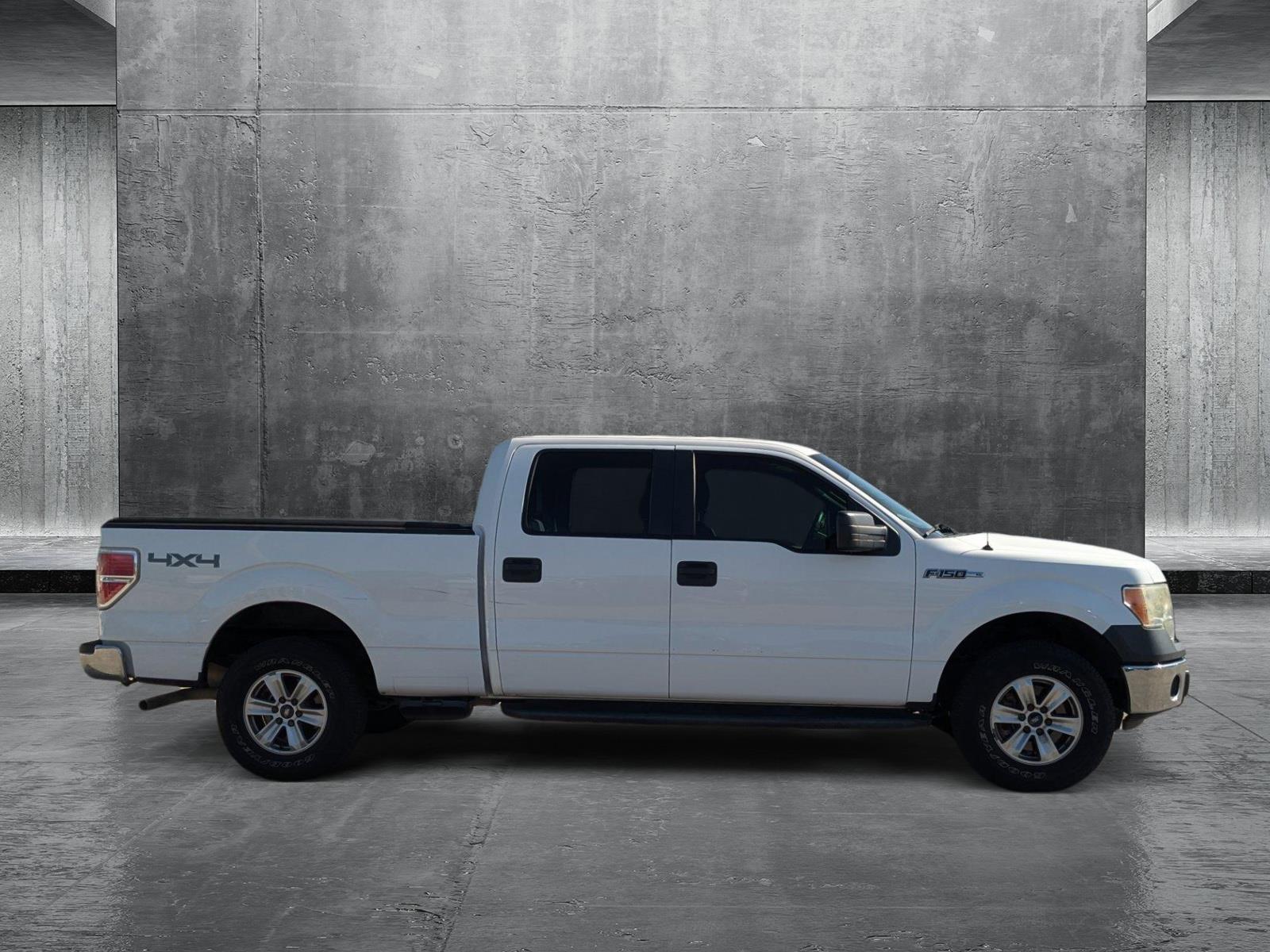 2014 Ford F-150 Vehicle Photo in St. Petersburg, FL 33713