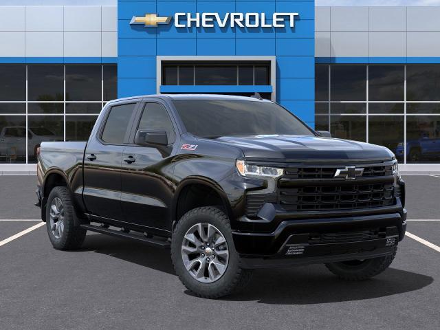 2025 Chevrolet Silverado 1500 Vehicle Photo in PAWLING, NY 12564-3219