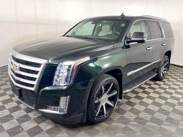 2016 Cadillac Escalade Vehicle Photo in ALLIANCE, OH 44601-4622