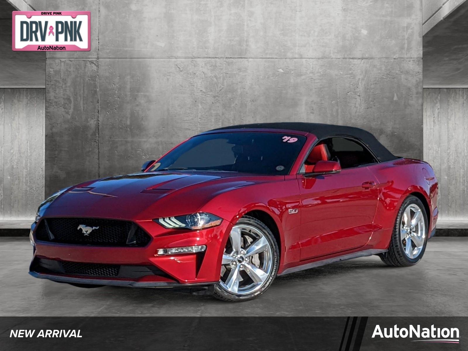 2019 Ford Mustang Vehicle Photo in Davie, FL 33331