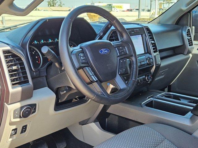 2019 Ford F-150 Vehicle Photo in SELMA, TX 78154-1459