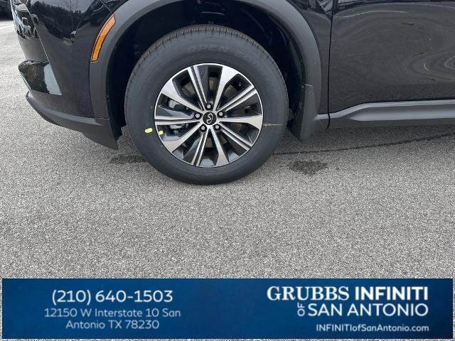 2024 INFINITI QX60 Vehicle Photo in San Antonio, TX 78230