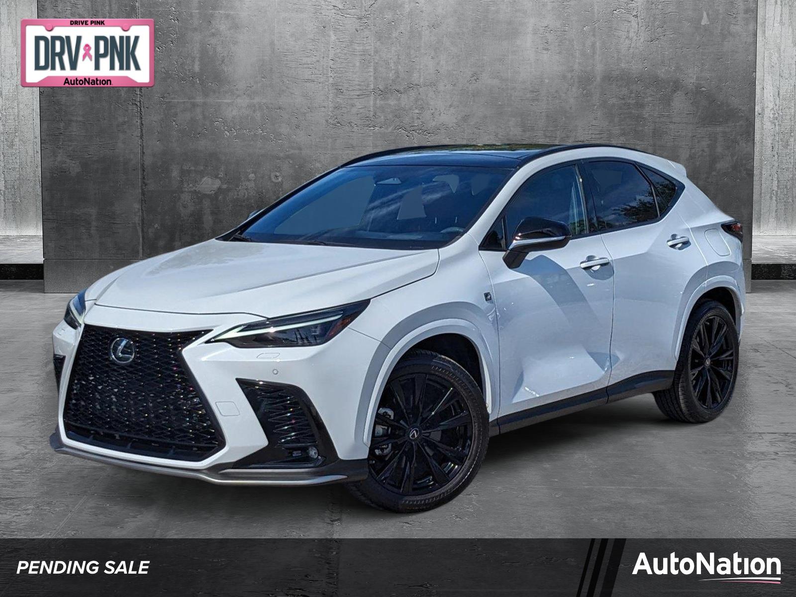 2022 Lexus NX 350 Vehicle Photo in Tampa, FL 33614