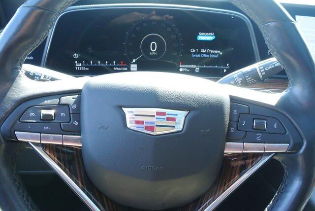 2021 Cadillac Escalade ESV Vehicle Photo in DETROIT, MI 48207-4102