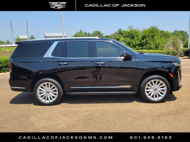 2023 Cadillac Escalade Vehicle Photo in RIDGELAND, MS 39157-4406