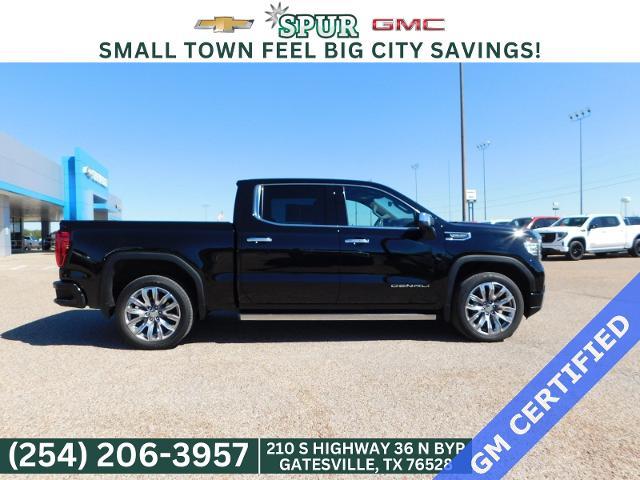 2023 GMC Sierra 1500 Vehicle Photo in Weatherford, TX 76087