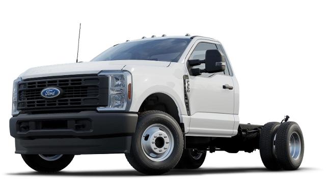 2024 Ford Super Duty F-350 DRW Vehicle Photo in Weatherford, TX 76087