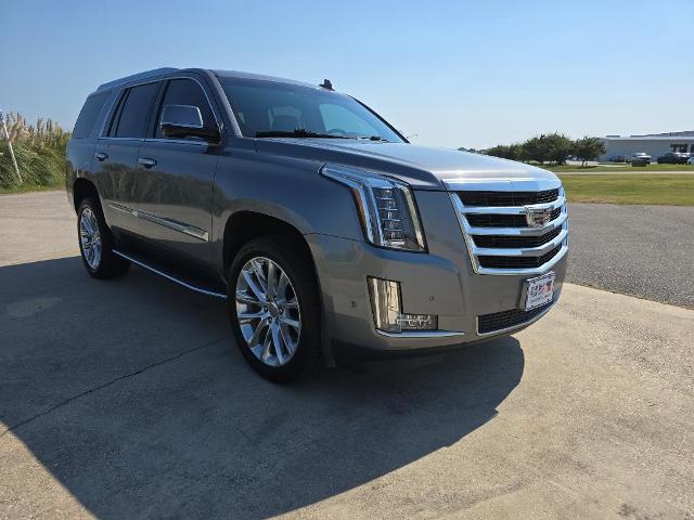 2019 Cadillac Escalade Vehicle Photo in BROUSSARD, LA 70518-0000