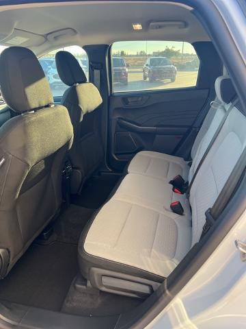 2025 Ford Escape Vehicle Photo in Winslow, AZ 86047-2439