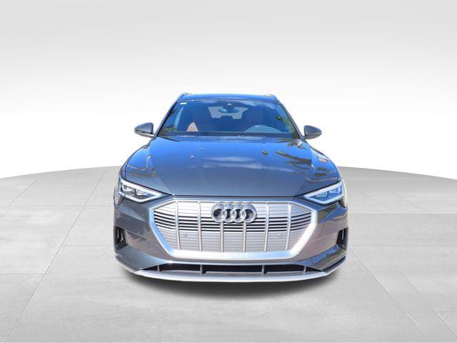 2022 Audi e-tron Vehicle Photo in DELRAY BEACH, FL 33483-3294