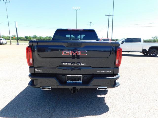 2024 GMC Sierra 1500 Vehicle Photo in Weatherford, TX 76087