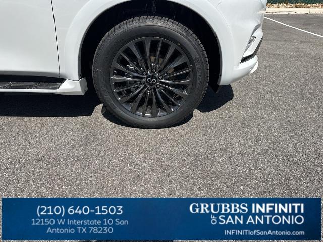 2024 INFINITI QX80 Vehicle Photo in San Antonio, TX 78230