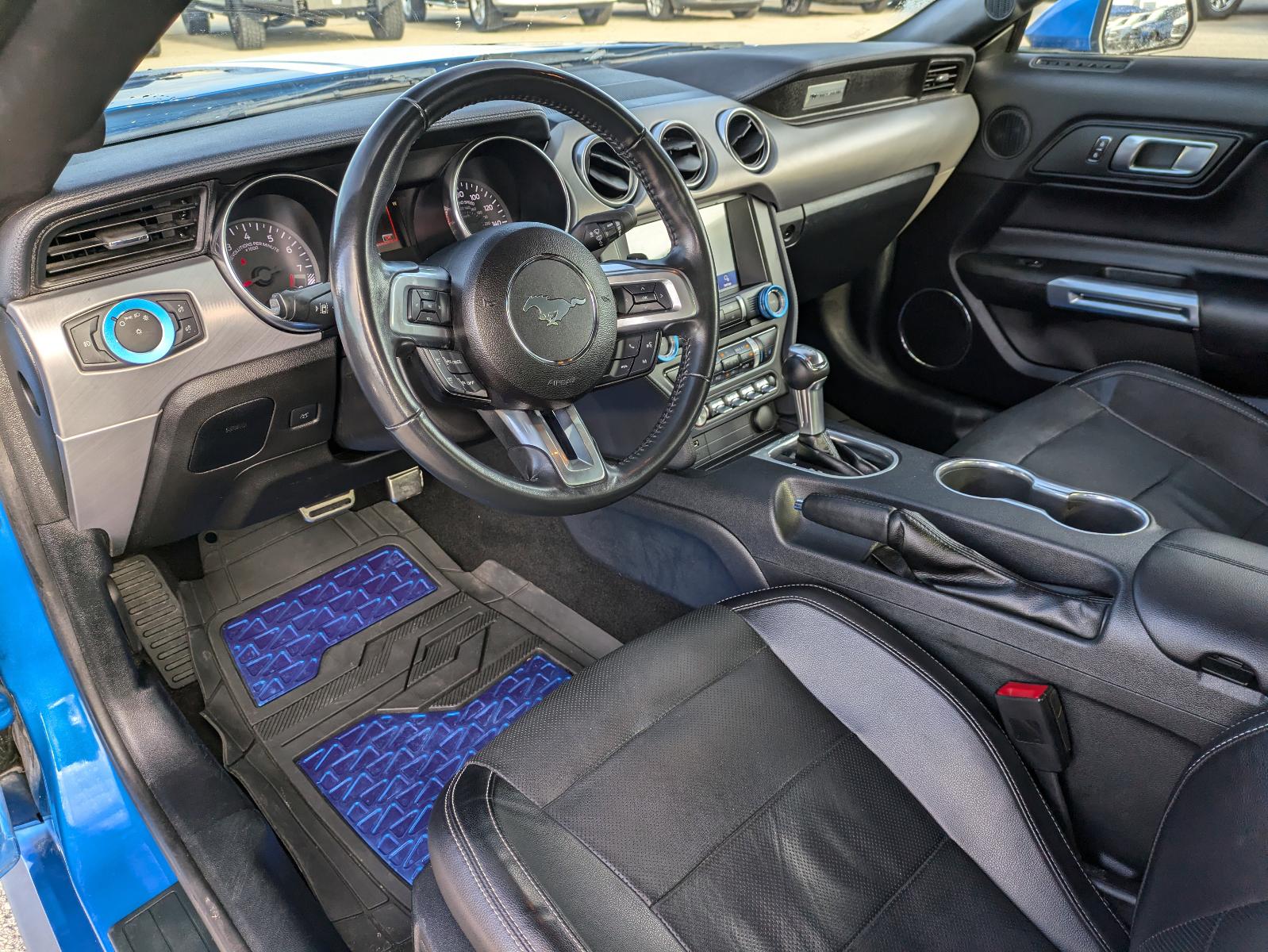 2021 Ford Mustang Vehicle Photo in Seguin, TX 78155