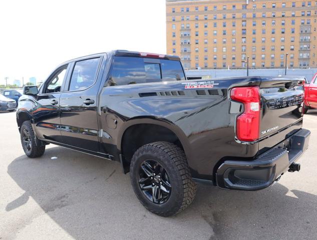 2024 Chevrolet Silverado 1500 Vehicle Photo in DETROIT, MI 48207-4102