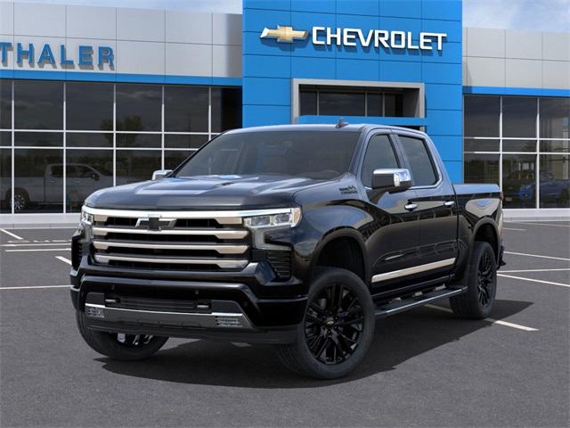 2025 Chevrolet Silverado 1500 Vehicle Photo in GLENWOOD, MN 56334-1123