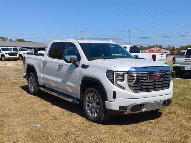 2025 GMC Sierra 1500 Vehicle Photo in ALBERTVILLE, AL 35950-0246