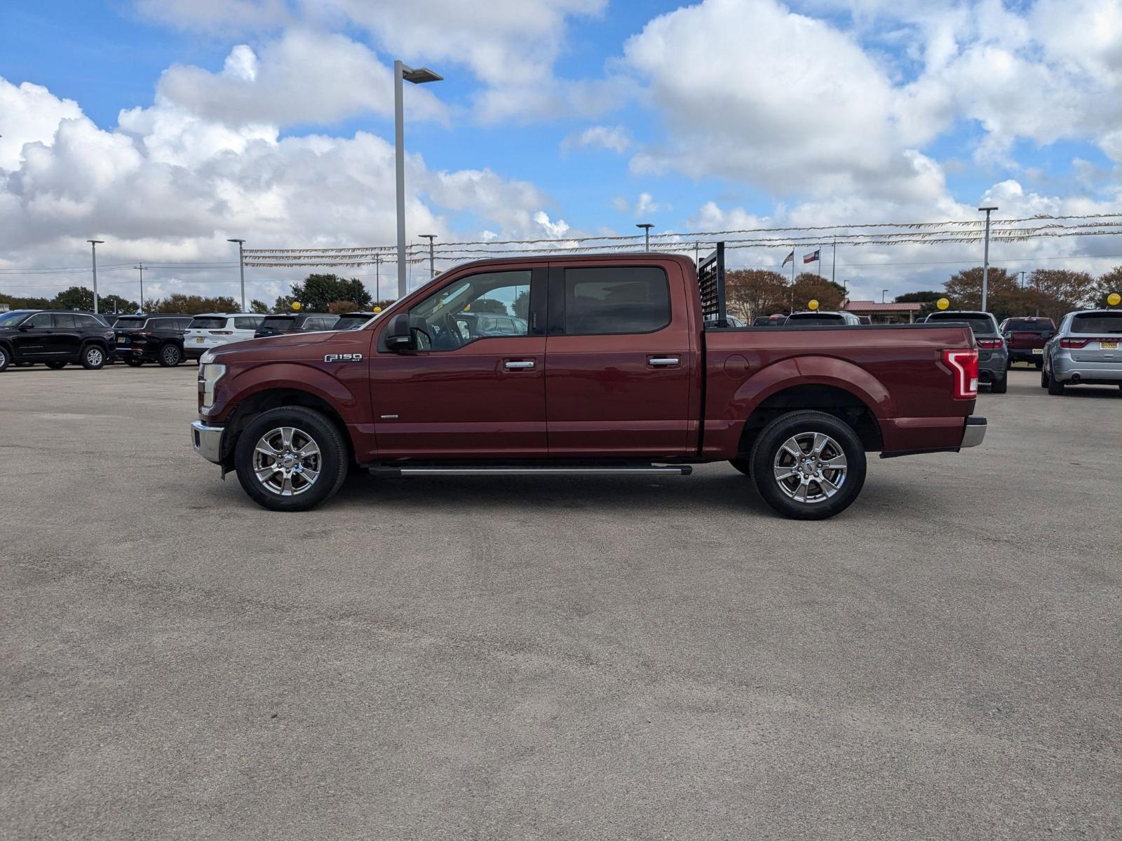 2015 Ford F-150 Vehicle Photo in Seguin, TX 78155