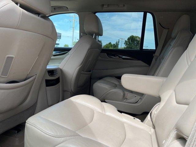 2019 Cadillac Escalade Vehicle Photo in JACKSON, MI 49202-1834