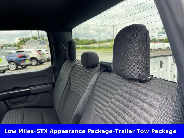 2021 Ford F-150 Vehicle Photo in CHICOPEE, MA 01020-5001