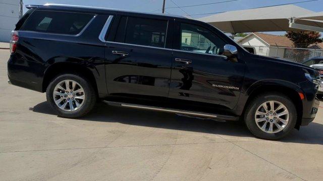 2023 Chevrolet Suburban Vehicle Photo in SELMA, TX 78154-1459