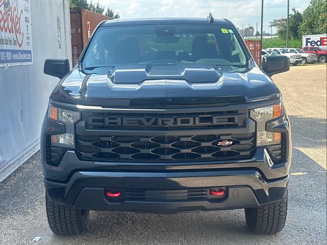 2024 Chevrolet Silverado 1500 Vehicle Photo in DUNN, NC 28334-8900