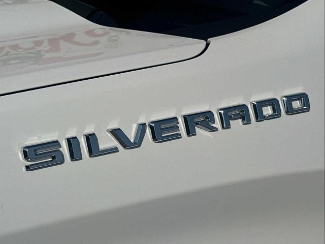 2019 Chevrolet Silverado 1500 Vehicle Photo in DUNN, NC 28334-8900