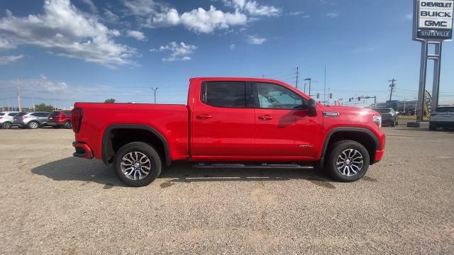 2021 GMC Sierra 1500 Vehicle Photo in PONCA CITY, OK 74601-1036