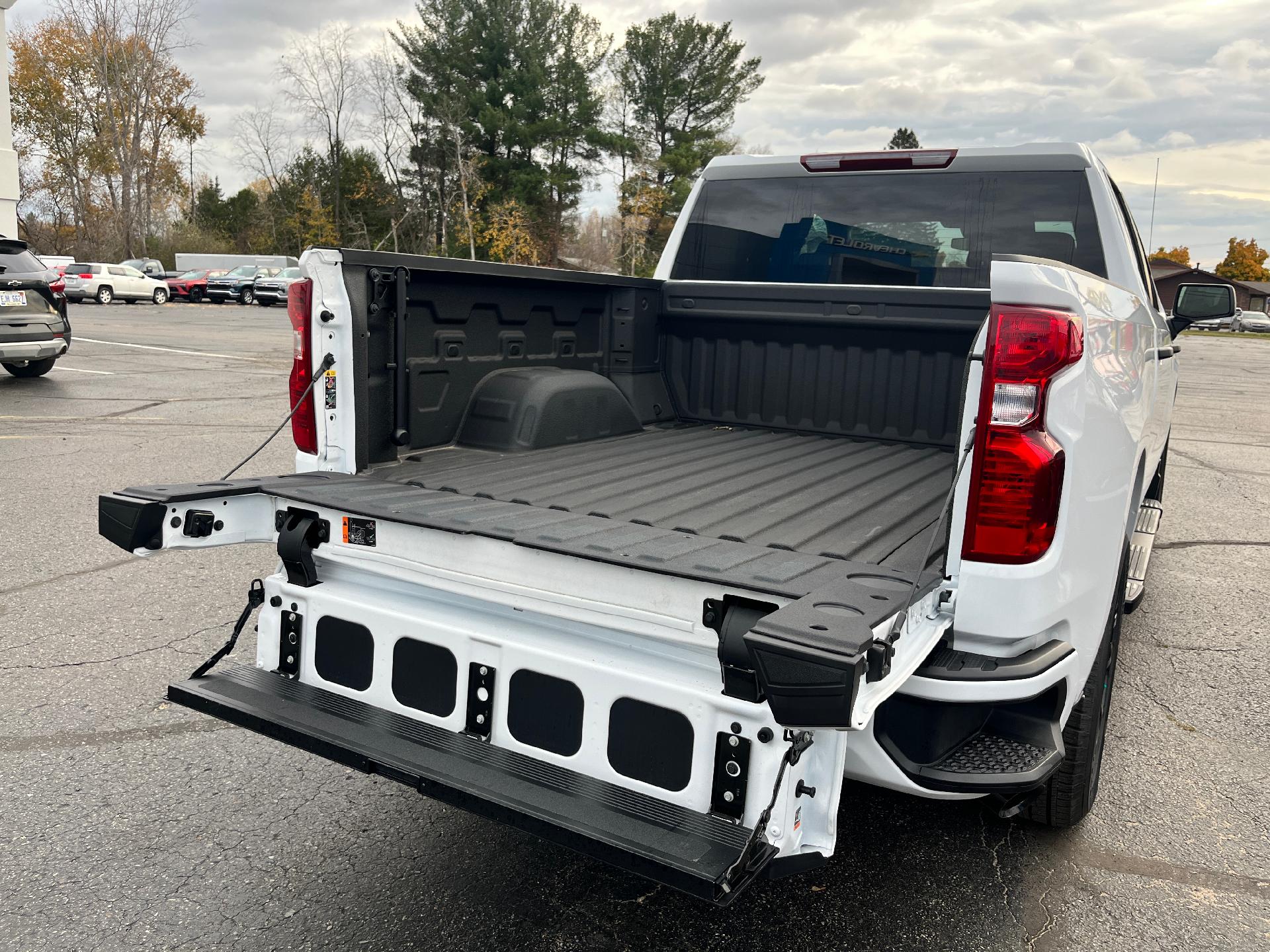 2024 Chevrolet Silverado 1500 Vehicle Photo in CLARE, MI 48617-9414