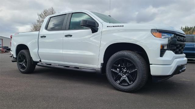 2025 Chevrolet Silverado 1500 Vehicle Photo in FLAGSTAFF, AZ 86001-6214