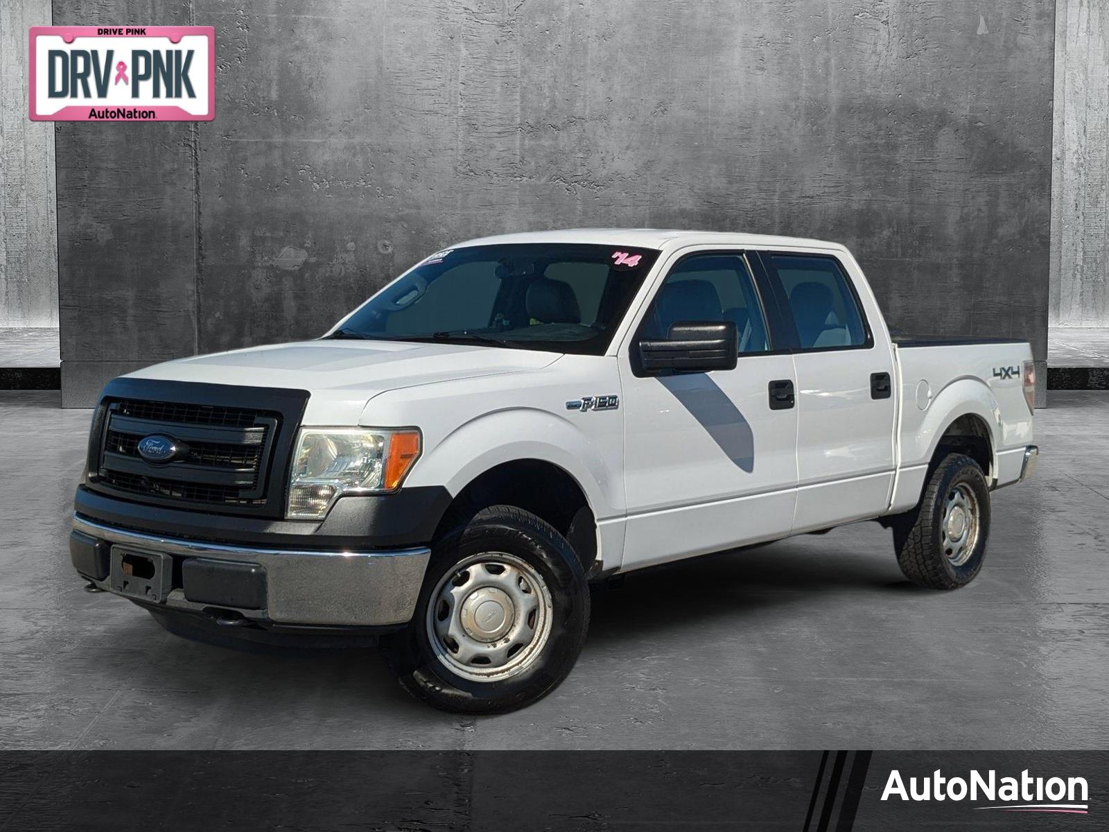 2014 Ford F-150 Vehicle Photo in St. Petersburg, FL 33713