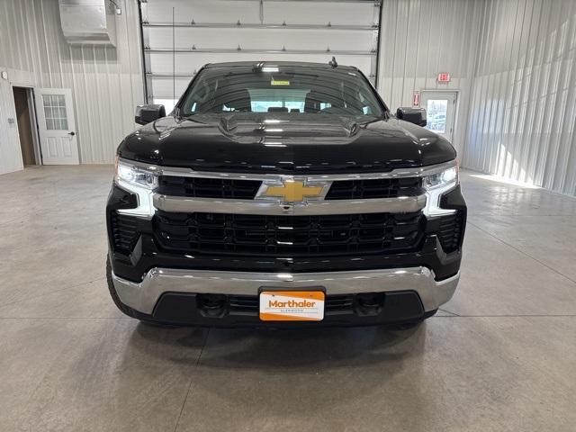 2022 Chevrolet Silverado 1500 Vehicle Photo in GLENWOOD, MN 56334-1123