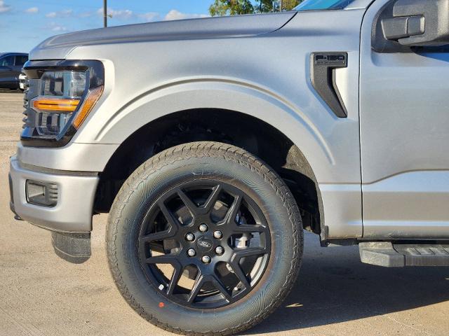 2024 Ford F-150 Vehicle Photo in Pilot Point, TX 76258