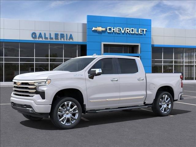 2024 Chevrolet Silverado 1500 Vehicle Photo in DALLAS, TX 75244-5909