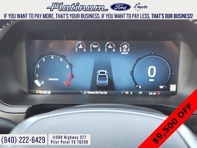 2024 Ford F-150 Vehicle Photo in Pilot Point, TX 76258