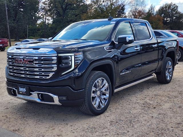 2025 GMC Sierra 1500 Vehicle Photo in PARIS, TX 75460-2116