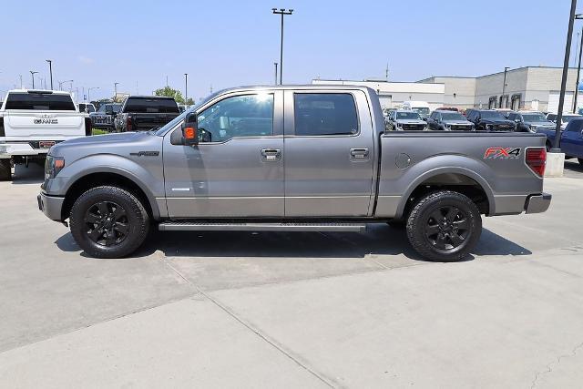 2014 Ford F-150 Vehicle Photo in AMERICAN FORK, UT 84003-3317