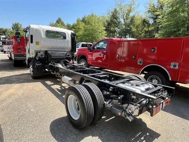 2025 Chevrolet Low Cab Forward 3500 Vehicle Photo in ALCOA, TN 37701-3235