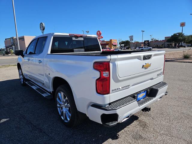 2024 Chevrolet Silverado 1500 Vehicle Photo in SAN ANGELO, TX 76903-5798