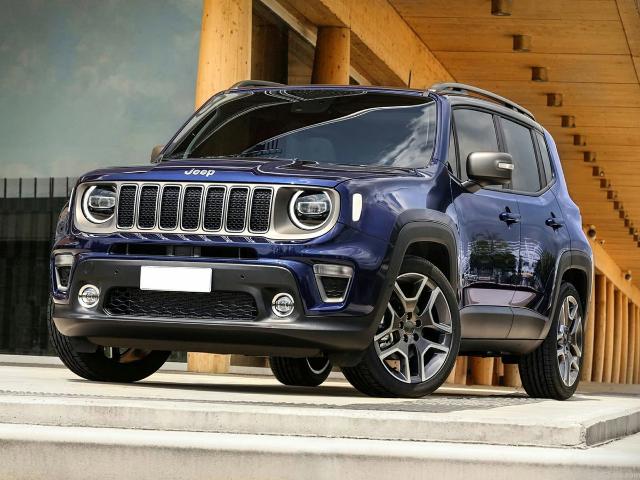 2020 Jeep Renegade Vehicle Photo in MEDINA, OH 44256-9631