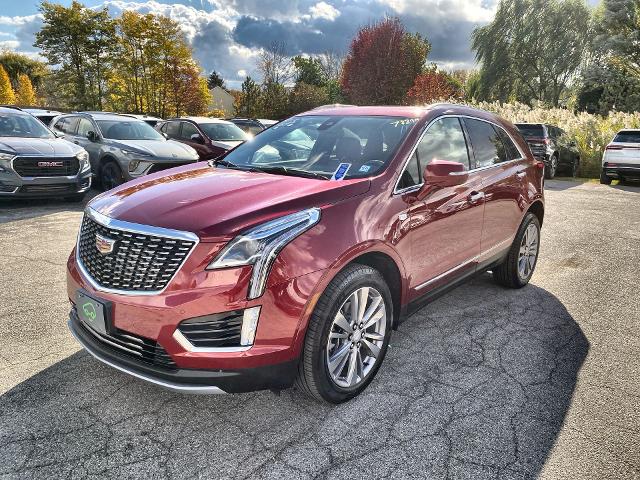 2024 Cadillac XT5 Vehicle Photo in WILLIAMSVILLE, NY 14221-2883