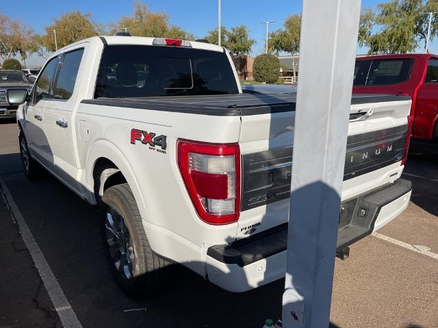 2021 Ford F-150 Vehicle Photo in GOODYEAR, AZ 85338-1310